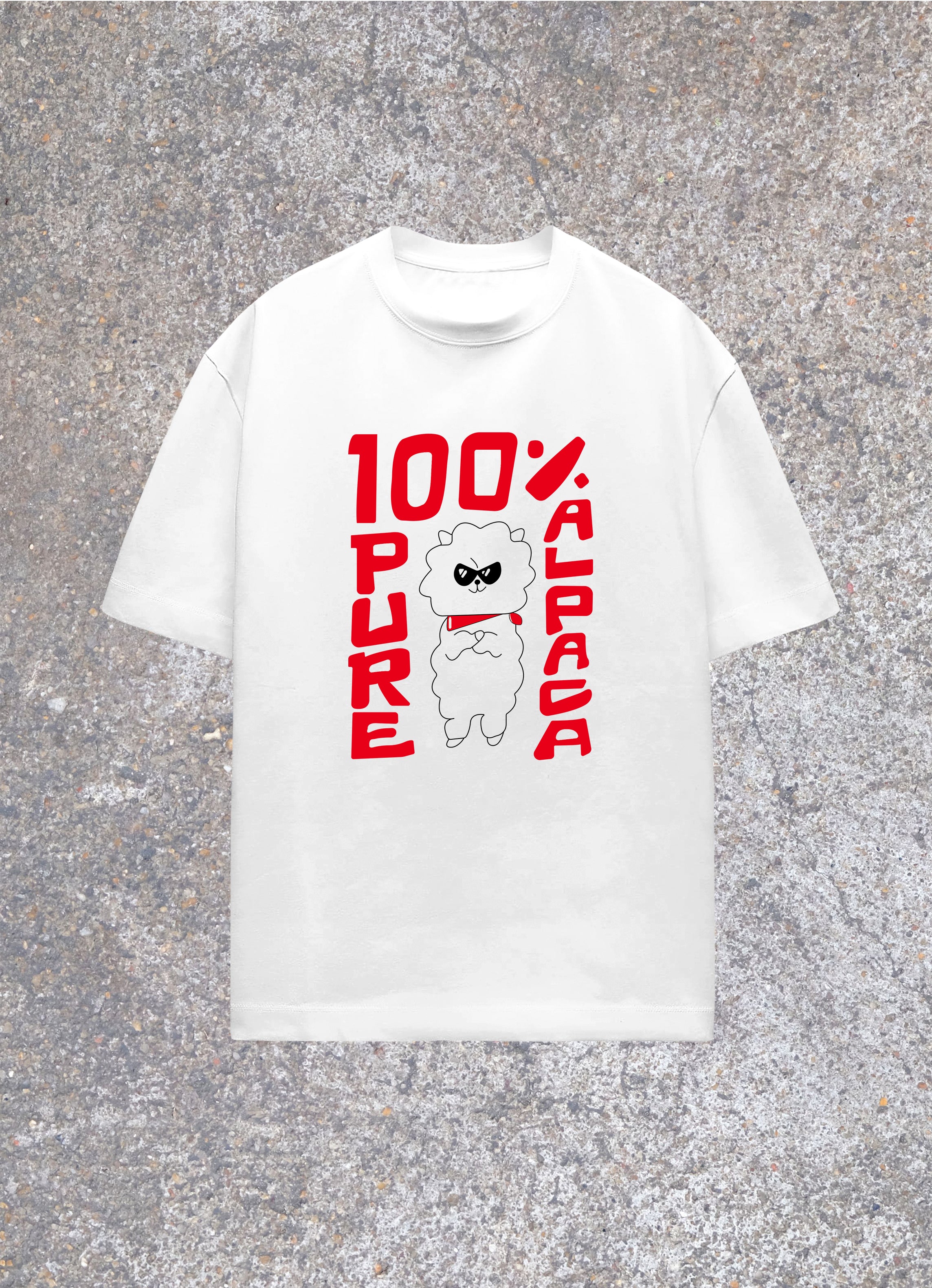 BTS Jin Rj Alpha Oversized Tshirt